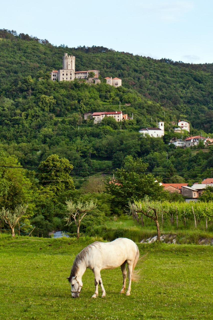 Guesthouse Ošterija Branik Buitenkant foto